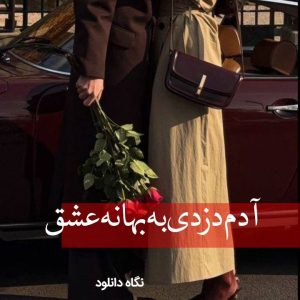 دانلود رمان آدم دزدی به بهانه عشق